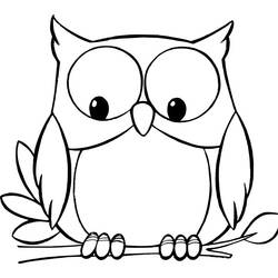 Coloring pages: Owl - Printable coloring pages