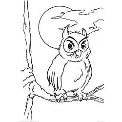 Coloring page: Owl (Animals) #8580 - Free Printable Coloring Pages