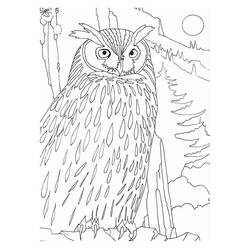 Coloring page: Owl (Animals) #8587 - Free Printable Coloring Pages