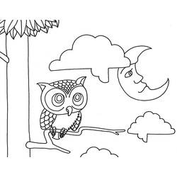 Coloring page: Owl (Animals) #8596 - Free Printable Coloring Pages