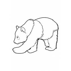 Coloring page: Panda (Animals) #12452 - Free Printable Coloring Pages