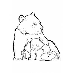 Coloring page: Panda (Animals) #12454 - Printable coloring pages