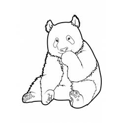 Coloring page: Panda (Animals) #12465 - Printable coloring pages