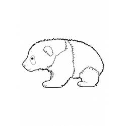 Coloring page: Panda (Animals) #12468 - Free Printable Coloring Pages
