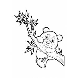 Coloring page: Panda (Animals) #12476 - Printable coloring pages