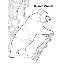 Coloring page: Panda (Animals) #12508 - Free Printable Coloring Pages