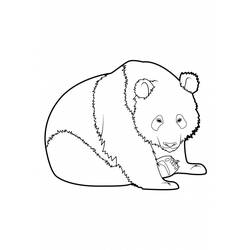 Coloring page: Panda (Animals) #12509 - Printable coloring pages