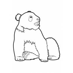 Coloring page: Panda (Animals) #12514 - Free Printable Coloring Pages