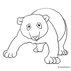 Coloring page: Panda (Animals) #12621 - Free Printable Coloring Pages