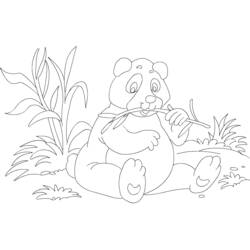 Coloring page: Panda (Animals) #12636 - Free Printable Coloring Pages