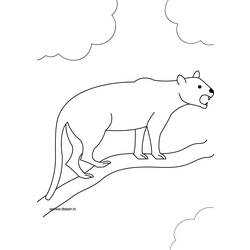 Coloring page: Panther (Animals) #15525 - Free Printable Coloring Pages