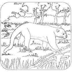 Coloring page: Panther (Animals) #15547 - Printable coloring pages