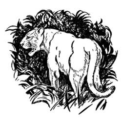 Coloring page: Panther (Animals) #15590 - Free Printable Coloring Pages