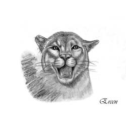 Coloring page: Panther (Animals) #15650 - Printable coloring pages