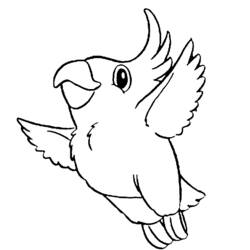 Coloring page: Parrot (Animals) #16063 - Free Printable Coloring Pages