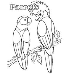 Coloring page: Parrot (Animals) #16068 - Free Printable Coloring Pages