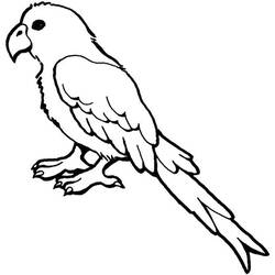 Coloring page: Parrot (Animals) #16077 - Free Printable Coloring Pages