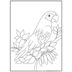 Coloring page: Parrot (Animals) #16078 - Printable coloring pages