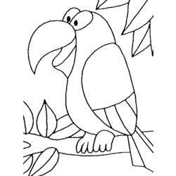 Coloring page: Parrot (Animals) #16079 - Free Printable Coloring Pages