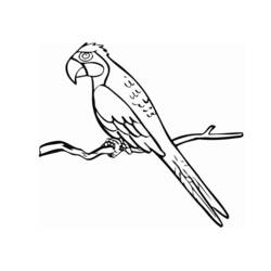 Coloring page: Parrot (Animals) #16084 - Free Printable Coloring Pages