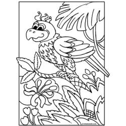 Coloring page: Parrot (Animals) #16094 - Free Printable Coloring Pages