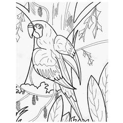 Coloring page: Parrot (Animals) #16104 - Free Printable Coloring Pages