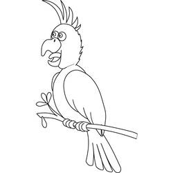 Coloring page: Parrot (Animals) #16108 - Free Printable Coloring Pages
