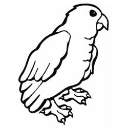 Coloring page: Parrot (Animals) #16109 - Free Printable Coloring Pages
