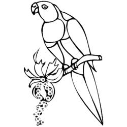 Coloring page: Parrot (Animals) #16117 - Free Printable Coloring Pages