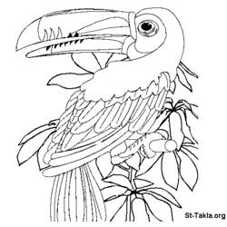Coloring page: Parrot (Animals) #16121 - Free Printable Coloring Pages