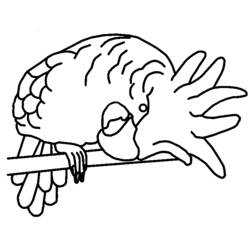 Coloring page: Parrot (Animals) #16146 - Free Printable Coloring Pages