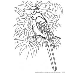 Coloring page: Parrot (Animals) #16150 - Free Printable Coloring Pages