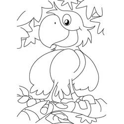 Coloring page: Parrot (Animals) #16159 - Free Printable Coloring Pages