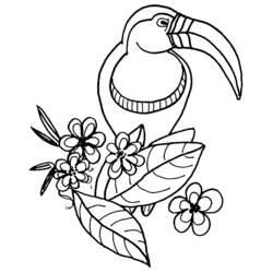 Coloring page: Parrot (Animals) #16164 - Free Printable Coloring Pages