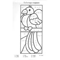 Coloring page: Parrot (Animals) #16179 - Free Printable Coloring Pages