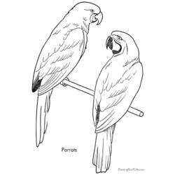 Coloring page: Parrot (Animals) #16194 - Printable coloring pages