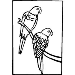 Coloring page: Parrot (Animals) #16212 - Free Printable Coloring Pages