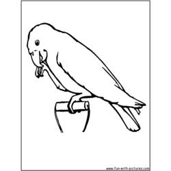 Coloring page: Parrot (Animals) #16241 - Free Printable Coloring Pages