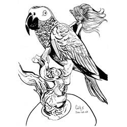 Coloring page: Parrot (Animals) #16242 - Free Printable Coloring Pages