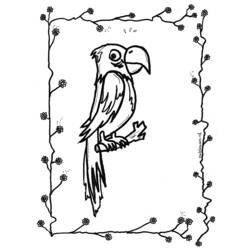 Coloring page: Parrot (Animals) #16245 - Free Printable Coloring Pages