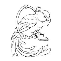 Coloring page: Parrot (Animals) #16252 - Printable coloring pages