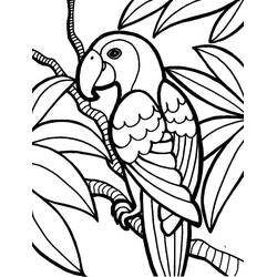 Parrot (Animals) coloring page #179078 to print and color
