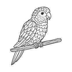 Parrot (Animals) coloring page #217783 to print and color