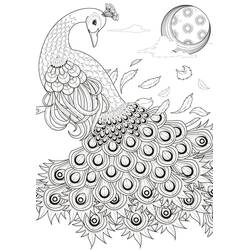 Peacock (Animals) coloring page #197576 to print and color