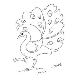 Peacock (Animals) coloring page #197577 to print and color