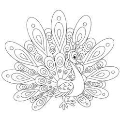 Coloring pages: Peacock - Free Printable Coloring Pages