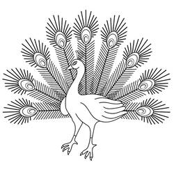 Peacock (Animals) coloring page #197582 to print and color