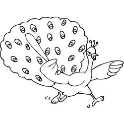 Peacock (Animals) coloring page #197590 to print and color