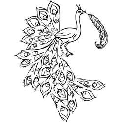 Peacock (Animals) coloring page #197597 to print and color