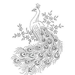 Peacock (Animals) coloring page #197601 to print and color